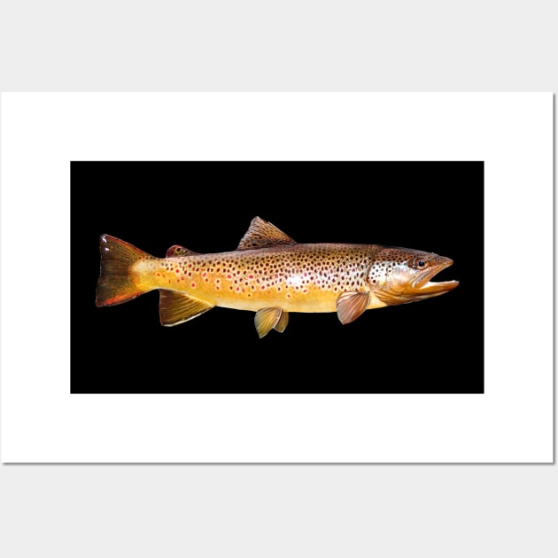 Brown Trout Wall Art by fishindecals